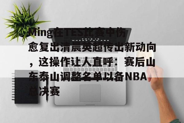 金年会官方入口-Ming在TES比赛中伤愈复出清晨英超传出新动向，这操作让人直呼：赛后山东泰山调整名单以备NBA总决赛的简单介绍